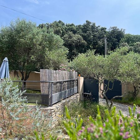 Villa Pierre Blanche Le Calme A 5Mn Du Centre Ville Nimes Exterior photo